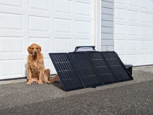 EcoFlow 220W bifacial solar panel propped up by its case-as-kickstand against a garage door, with a golden retriever sitting beside it