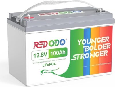 Redodo 12V 100Ah Review: Long History, Basic BMS