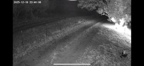 Customer-submitted ANRAN US-YZ nighttime view along a fence