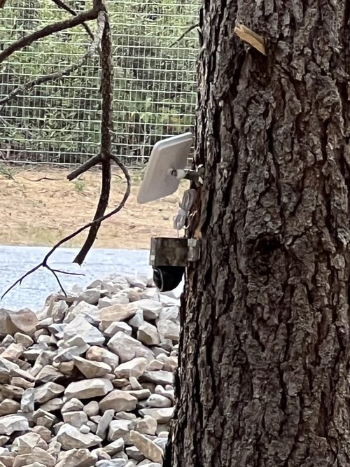 Eufy 4G LTE S330 and solar panel mounted on a tree by an owner