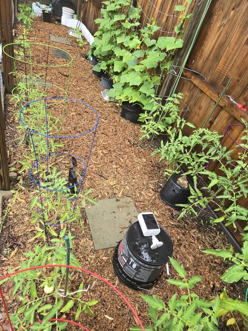 Obligz OZ-S1 customer cameras positioned temporarily around a garden