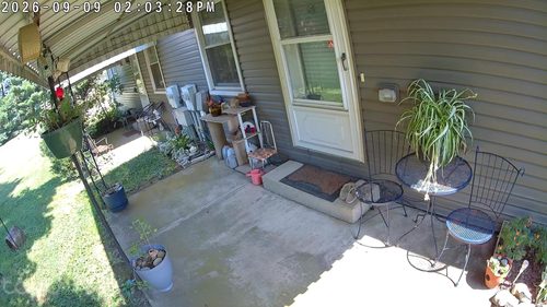 Tapo C460 customer-submitted daytime view of a back porch
